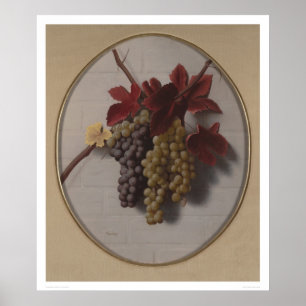 Swag of Grapes (1363) Poster