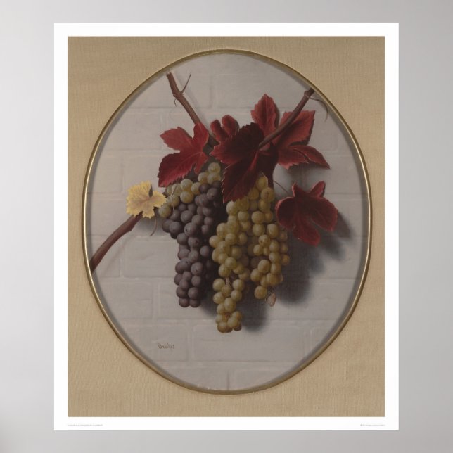 Swag of Grapes (1363) Poster (Front)
