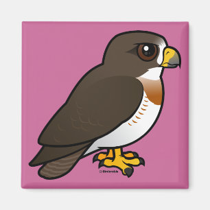 Swainson's Hawk Magnet