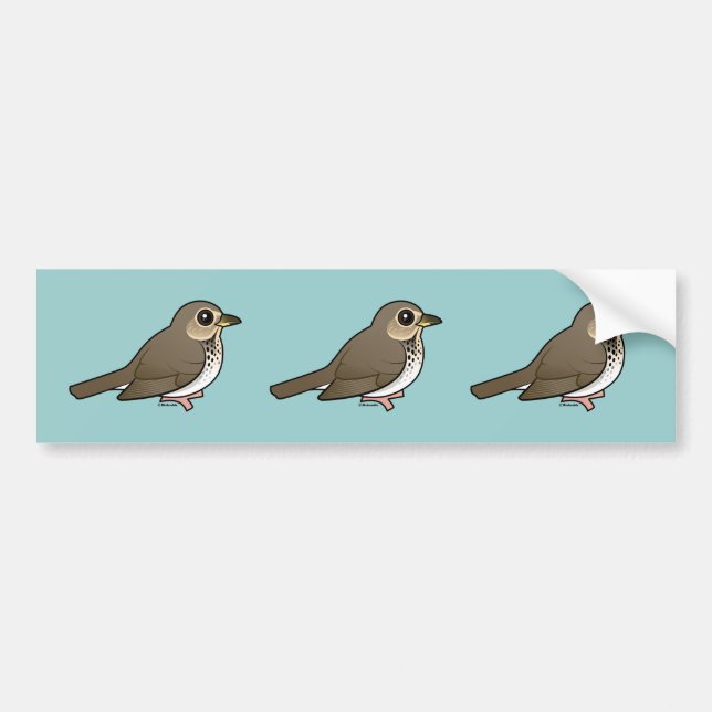 Swainson's Thrush Bumper Sticker (Front)