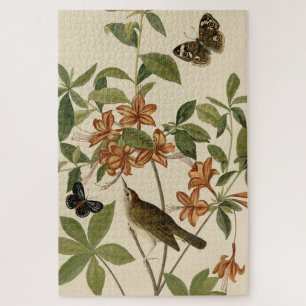 Swainson's Warbler from Audubon's Birds of America Jigsaw Puzzle
