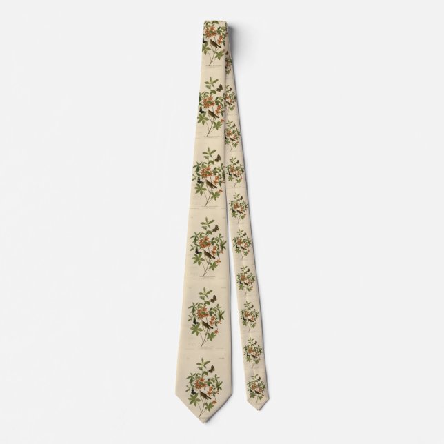 Swainson's Warbler from Audubon's Birds of America Tie (Front)