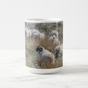 Swaledale ewes in cotton grass in Northhumberland Coffee Mug