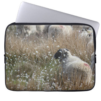 Swaledale ewes in cotton grass in Northhumberland  Laptop Sleeve