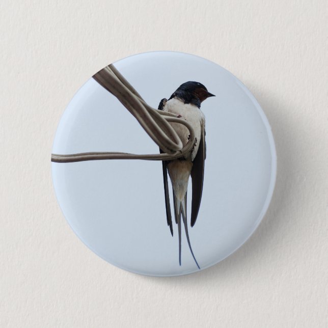Swallow 6 Cm Round Badge (Front)