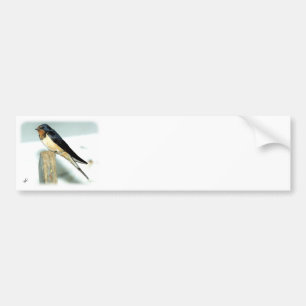 Swallow 8W93D-05 Bumper Sticker