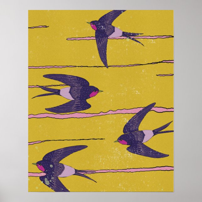Swallow Birds Poster (Front)