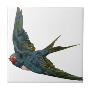 Swallow Ceramic Tile