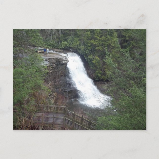 swallow falls postcard (Front)