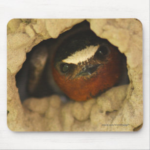 Swallow Mouse Pad