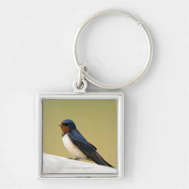 Swallow on a Wooden Ledge Key Ring (Front)