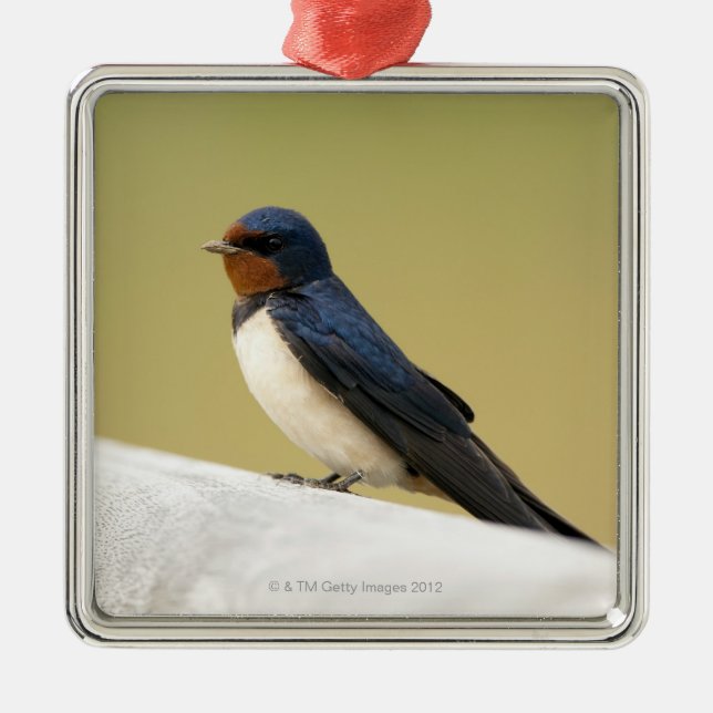 Swallow on a Wooden Ledge Metal Tree Decoration (Front)