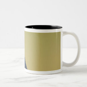 Swallow on a Wooden Ledge Two-Tone Coffee Mug