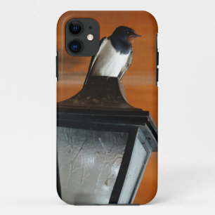 Swallow on Lamp Photo iPhone SE + iPhone 5/5S Case