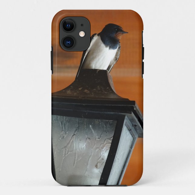 Swallow on Lamp Photo iPhone SE + iPhone 5/5S Case (Back)