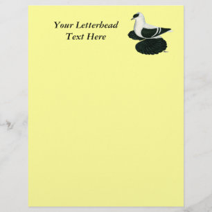 Swallow Pigeon Saxon Black White Bar