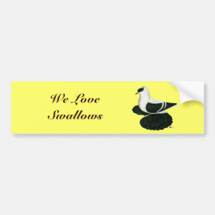 Swallow Pigeon Saxon Black White Bar Bumper Sticker