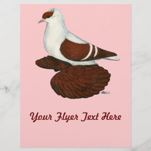 Swallow: Red Fullhead Pigeon Flyer