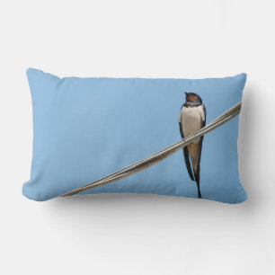 Swallow sitting on wire lumbar cushion