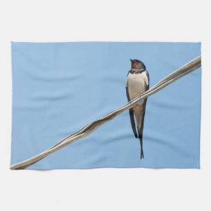 Swallow sitting on wire tea towel