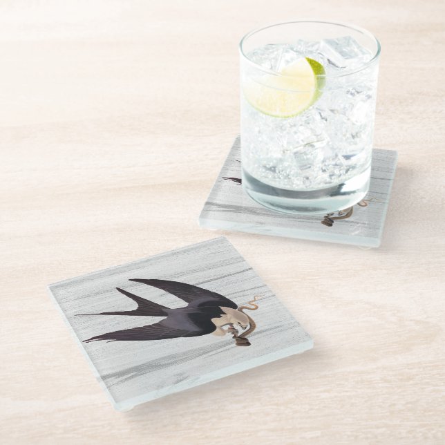 Swallow Tailed Hawk with Snake on Rustic Grey Glass Coaster (Angled)