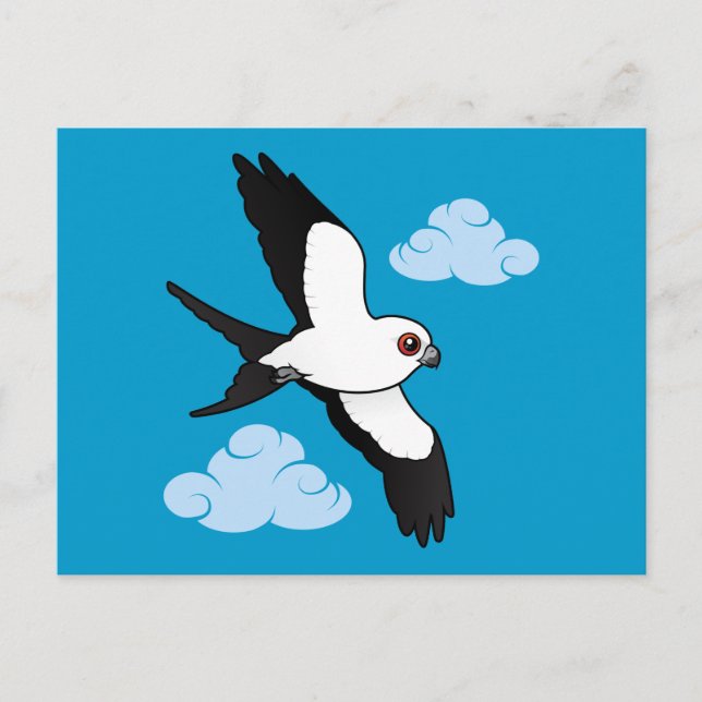 Swallow-tailed Kite in flight Postcard (Front)
