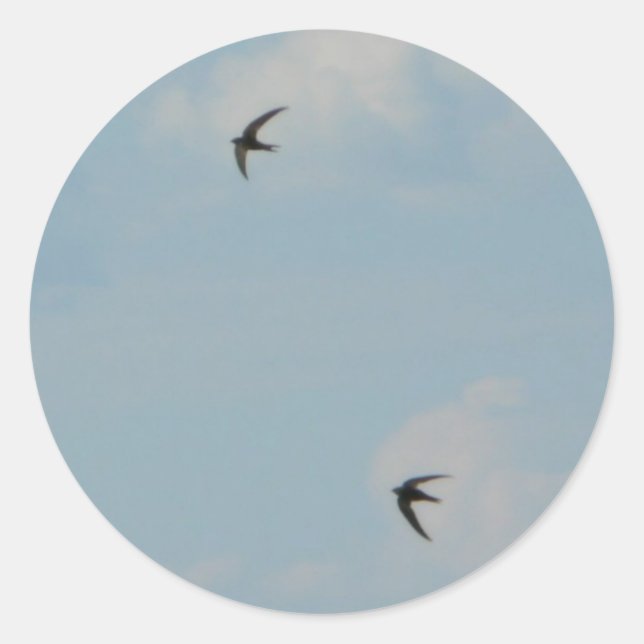 Swallows Birds Classic Round Sticker (Front)