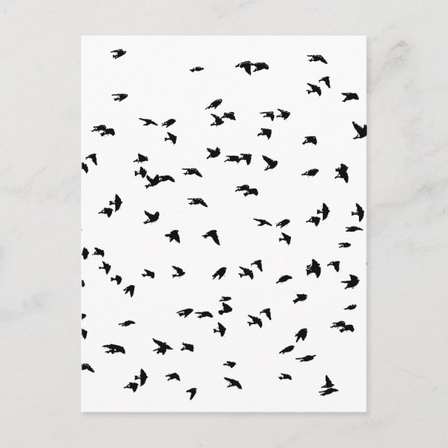Swallows in Flight Bird Print Postcard (Front)