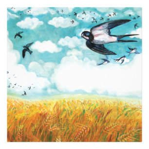  Swallows over a wheat field Illustration  Photo Print