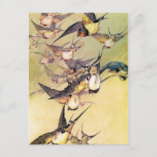 Swallows Postcard