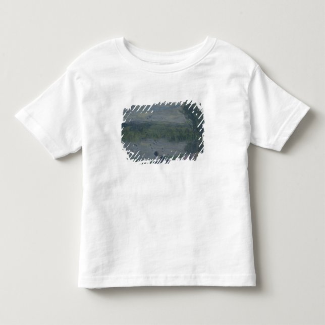Swallows Toddler T-Shirt (Front)