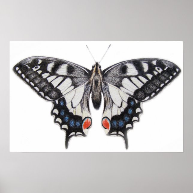 Swallowtail 2012 poster (Front)