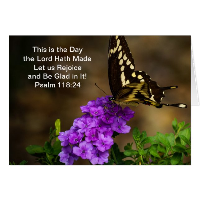 Swallowtail Butterfly (Front Horizontal)