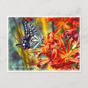 Swallowtail Butterfly ポストカード Postcard