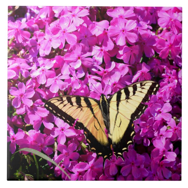 Swallowtail butterfly at flower bed ceramic tile (Front)