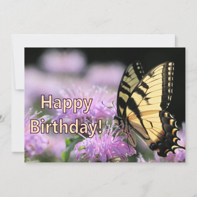 Swallowtail butterfly birthday wishes holiday card (Front)