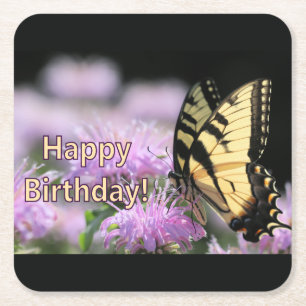 Swallowtail butterfly birthday wishes square paper coaster