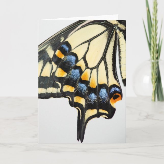 Swallowtail Butterfly Blank Greeting Card (Front)