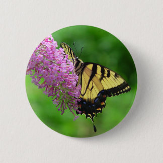 Swallowtail Butterfly Button 3