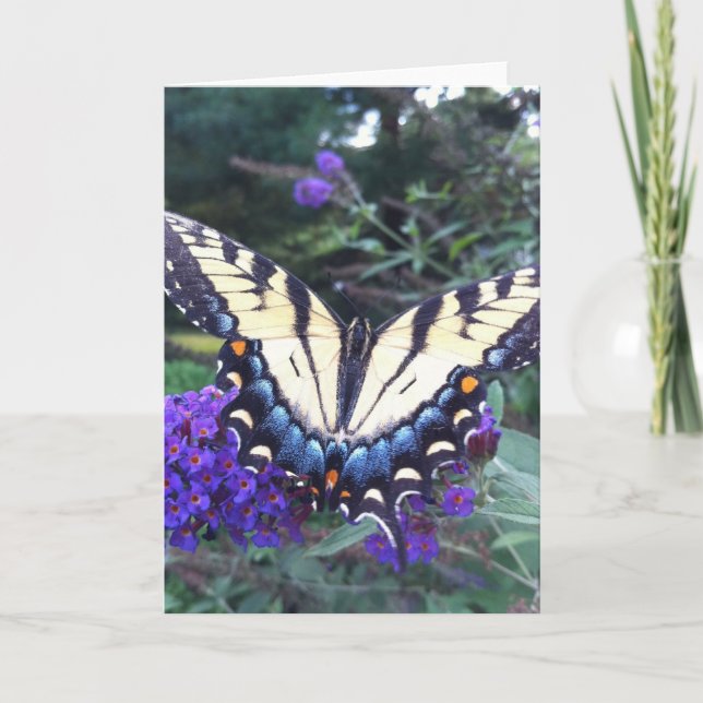 Swallowtail Butterfly Card 3 (Front)