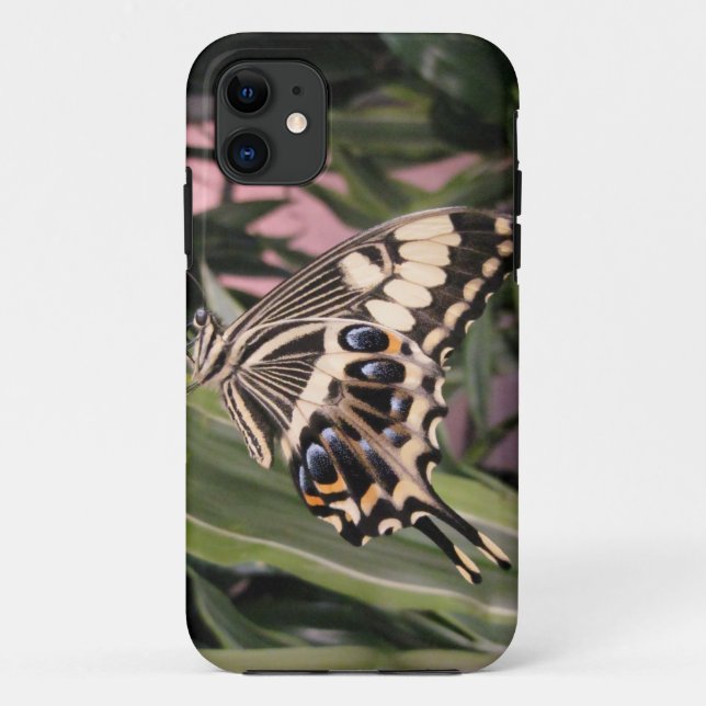 Swallowtail Butterfly Case-Mate iPhone Case (Back)