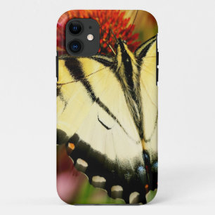 Swallowtail Butterfly iPhone 11 Case