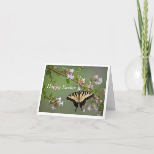 Swallowtail Butterfly Easter Greeting Card