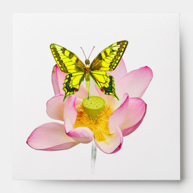Swallowtail butterfly figure envelope (Front)