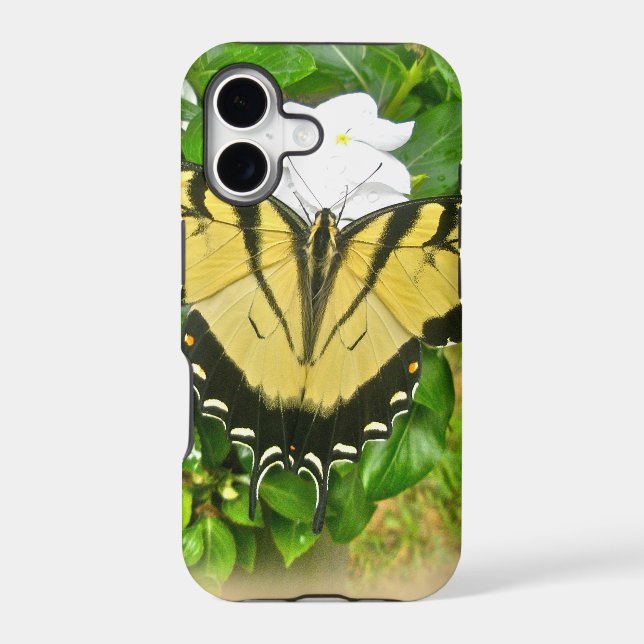 Swallowtail Butterfly - Flowers (Back)