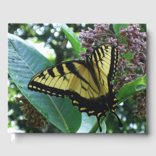 Swallowtail Butterfly I on Milkweed at Shenandoah Guest Book