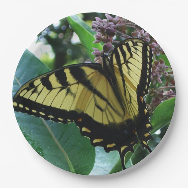 Swallowtail Butterfly I on Milkweed at Shenandoah Paper Plate (Front)