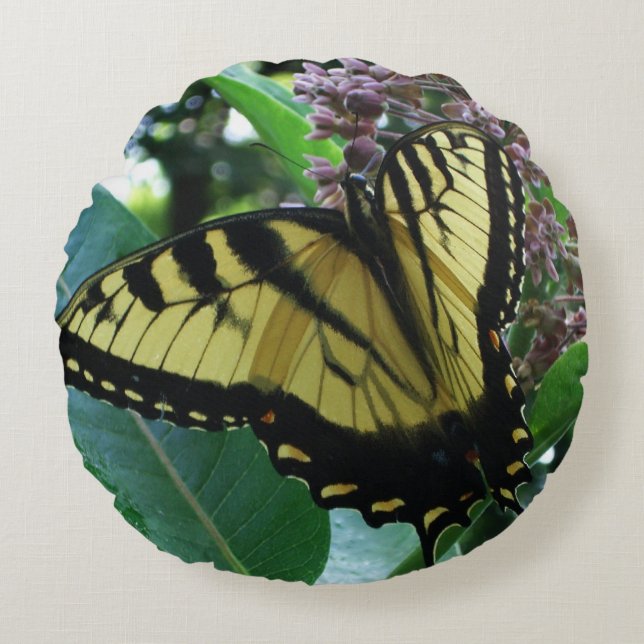 Swallowtail Butterfly I on Milkweed at Shenandoah Round Cushion (Front)