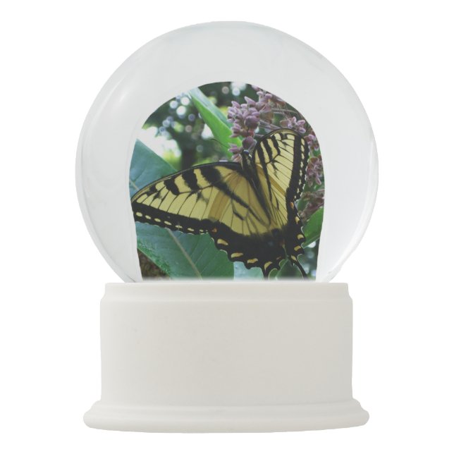 Swallowtail Butterfly I on Milkweed at Shenandoah Snow Globe (Front)