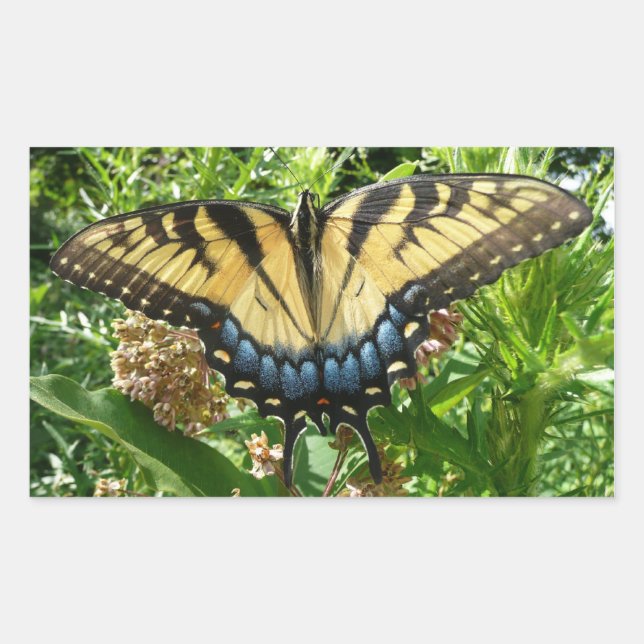 Swallowtail Butterfly II at Shenandoah Rectangular Sticker (Front)
